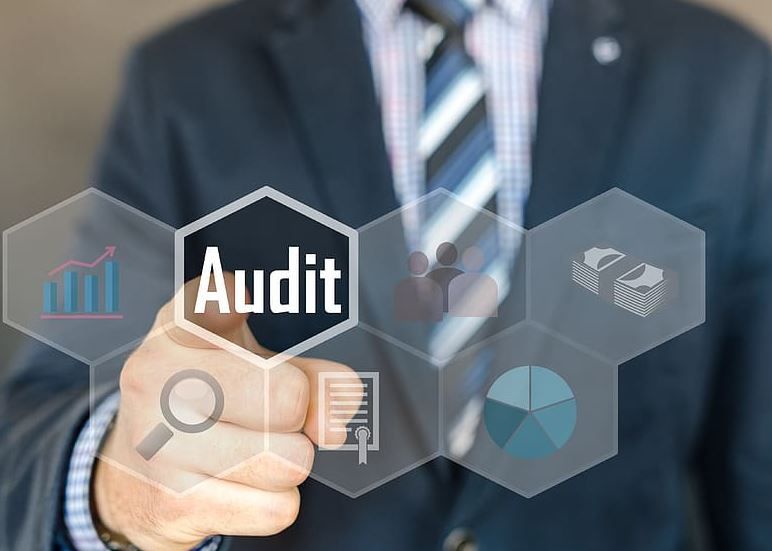 The Audit Objective of External and Internal Audit