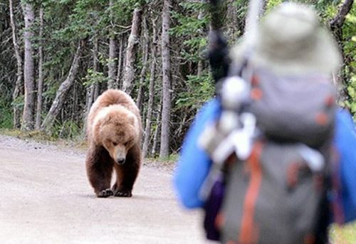 如何避免财务损失？